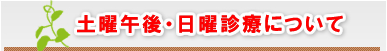 土曜午後・日曜診療について